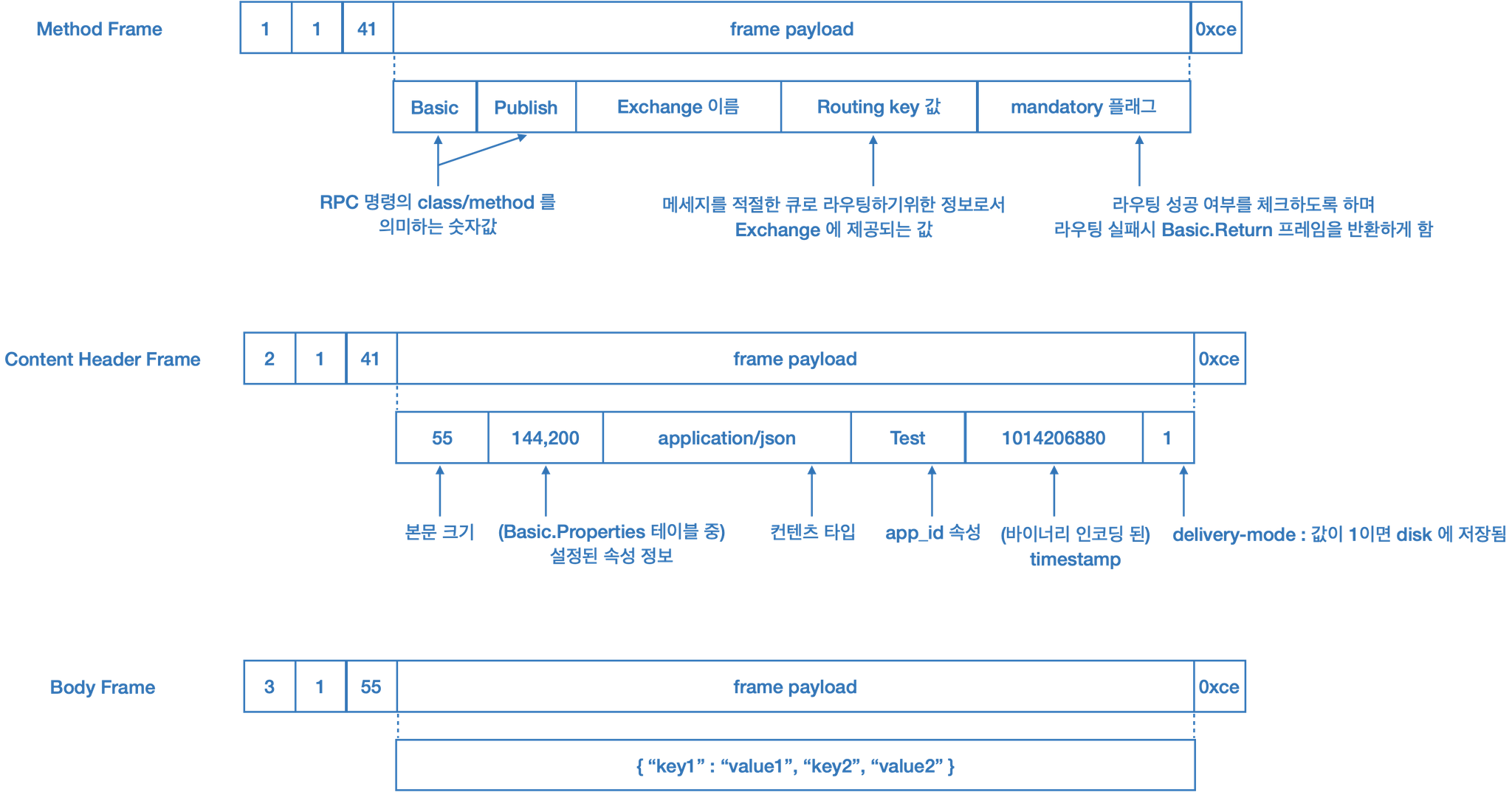 amqp_msg_format